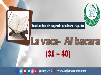 Traducción de sagrado corán en español - 2 - La vaca Al bacara